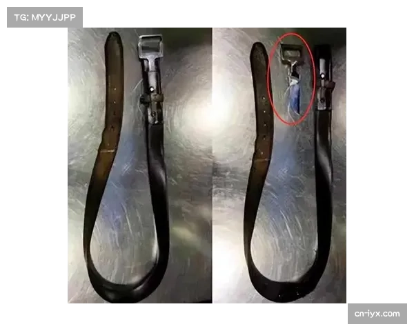 违禁品检测算法升级 现场安检速度与精度同步提升